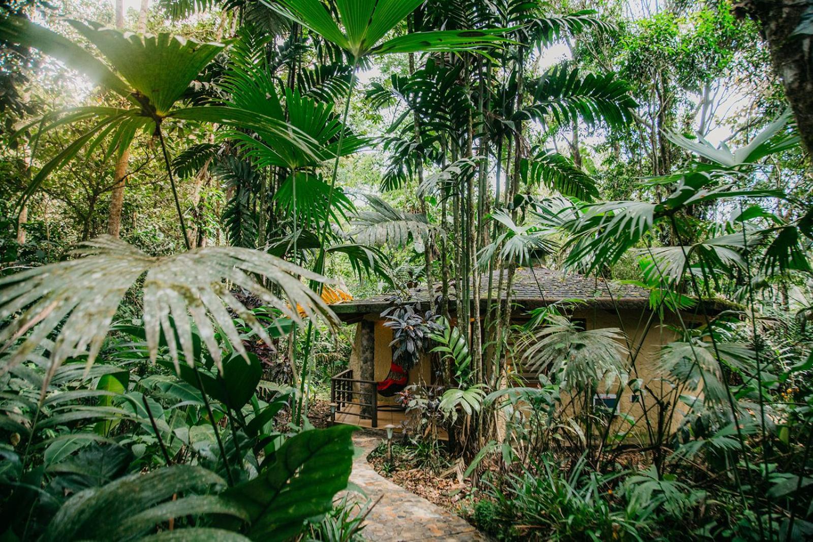 Arahuana Jungle Resort & Spa Tena Exteriér fotografie