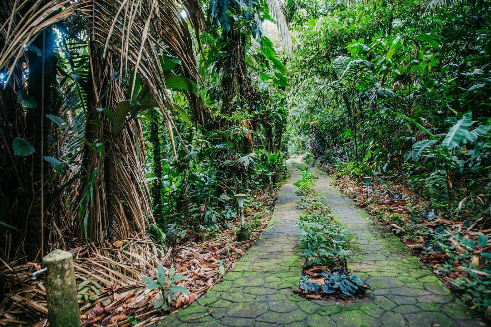 Arahuana Jungle Resort & Spa Tena Exteriér fotografie